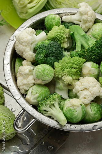 Variety of cabbage  in a collander