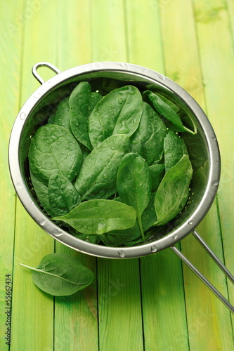 Fresh spinach leaves in a sieve