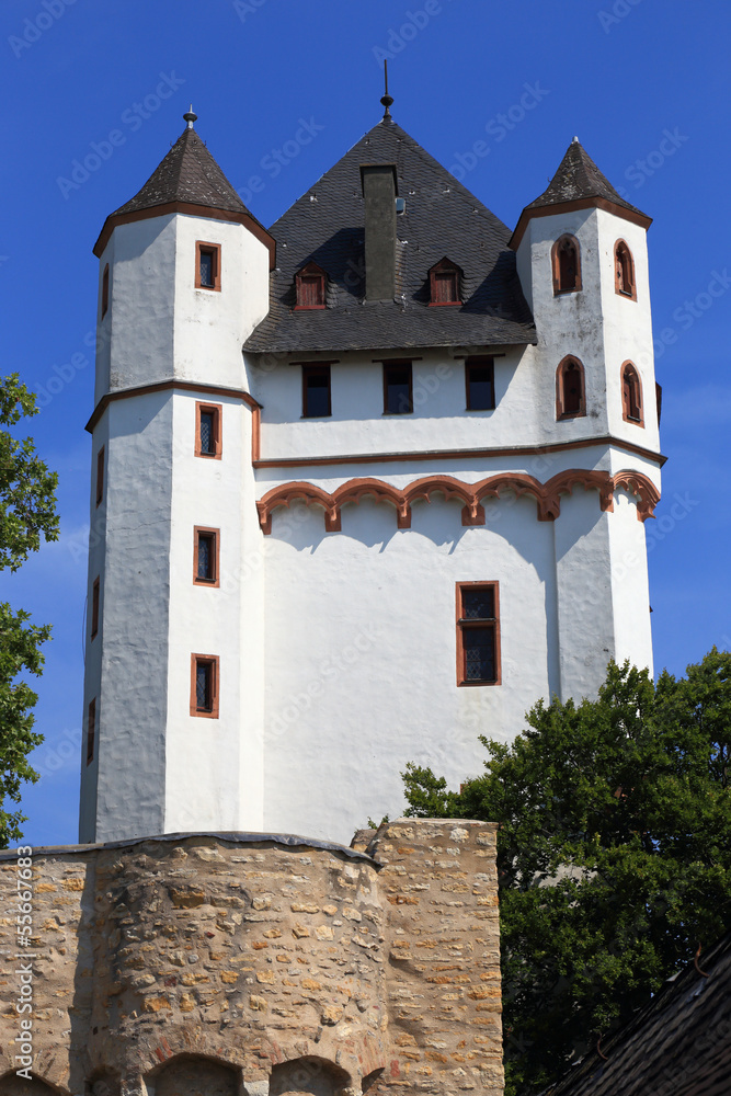 Eltville, die Kurfürstliche Burg (2013)