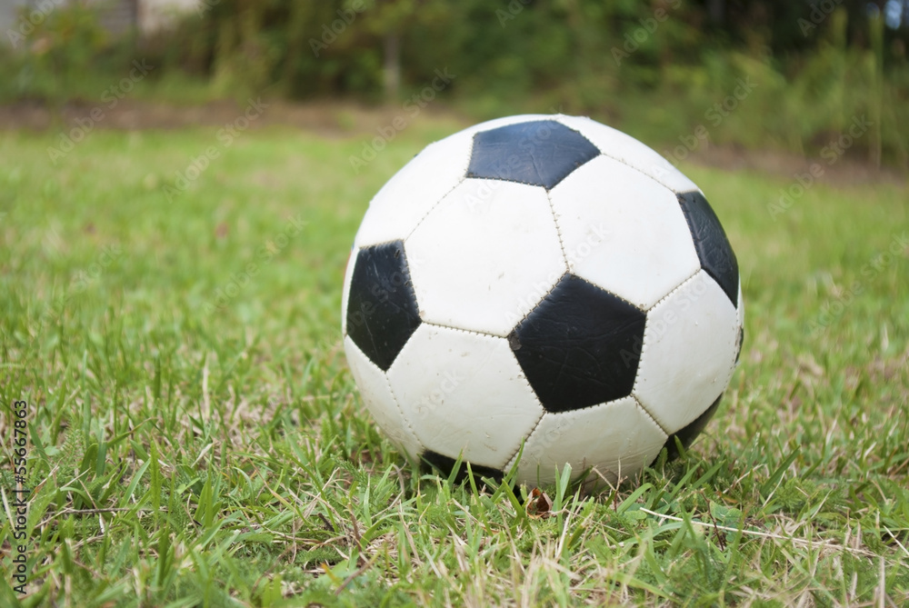 Fototapeta premium soccer ball on green field