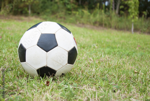 soccer ball on green field © geronimo
