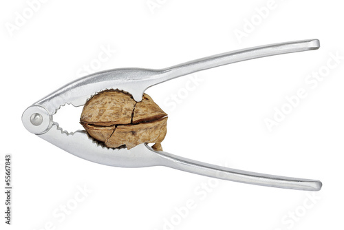 Cuadro en lienzo nutcracker and walnut