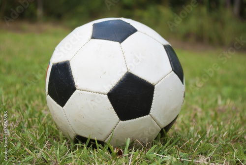 soccer ball on green field © geronimo