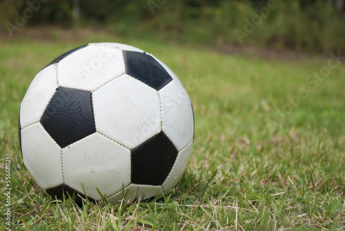 soccer ball on green field