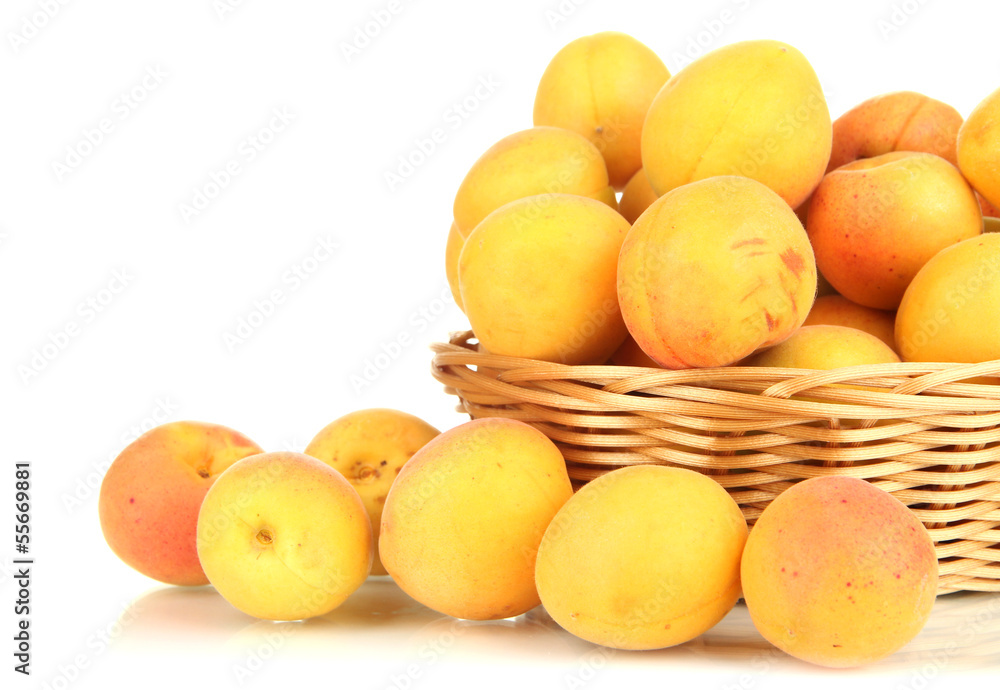 Fresh natural apricot in wicker basket isolated on white Fresh natural apricot in wicker basket isolated on white