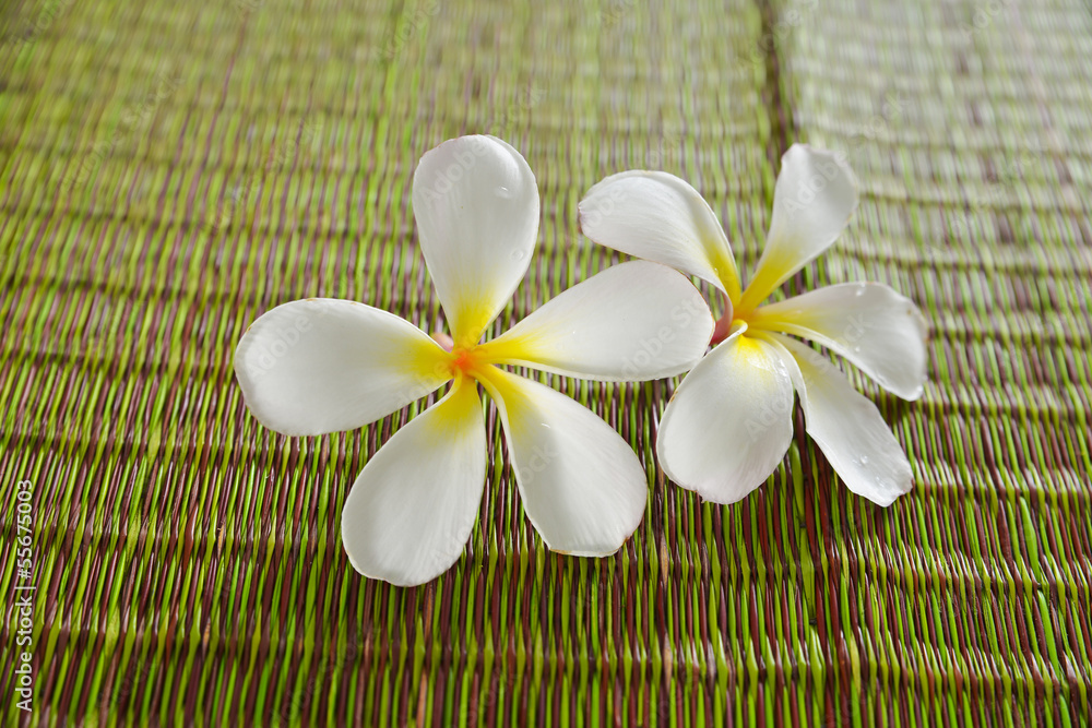 White frangipani and woven wicker mat background White frangipani and woven wicker mat background