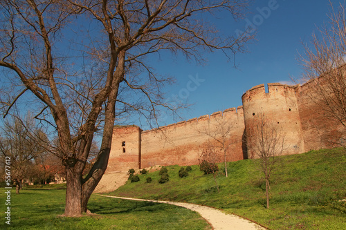 Historical wall and towers in Ilok