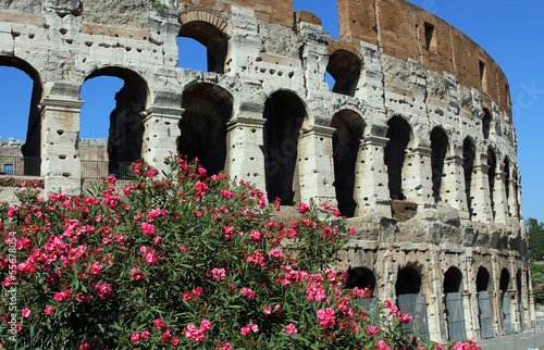 Canvas Print Arches of the Colosseum among flowering plants of Oleander in Ro