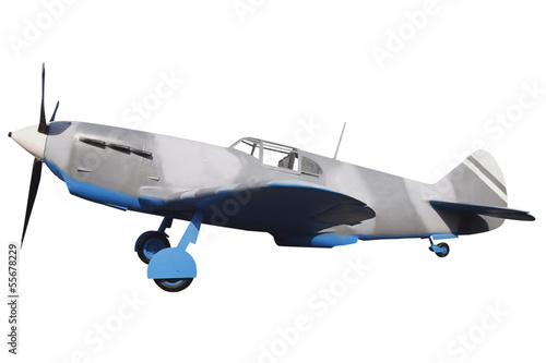 Obraz na plátně old gray fighter