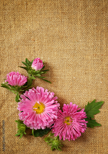 Asters decoration