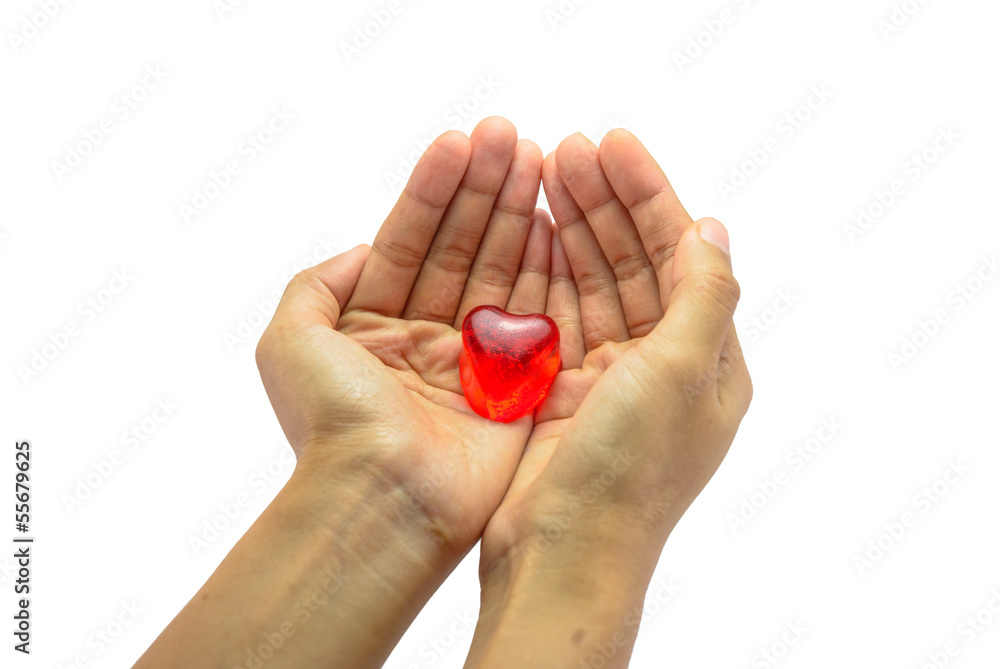 hand hold single ice of red heart isolated hand hold single ice of red heart isolated