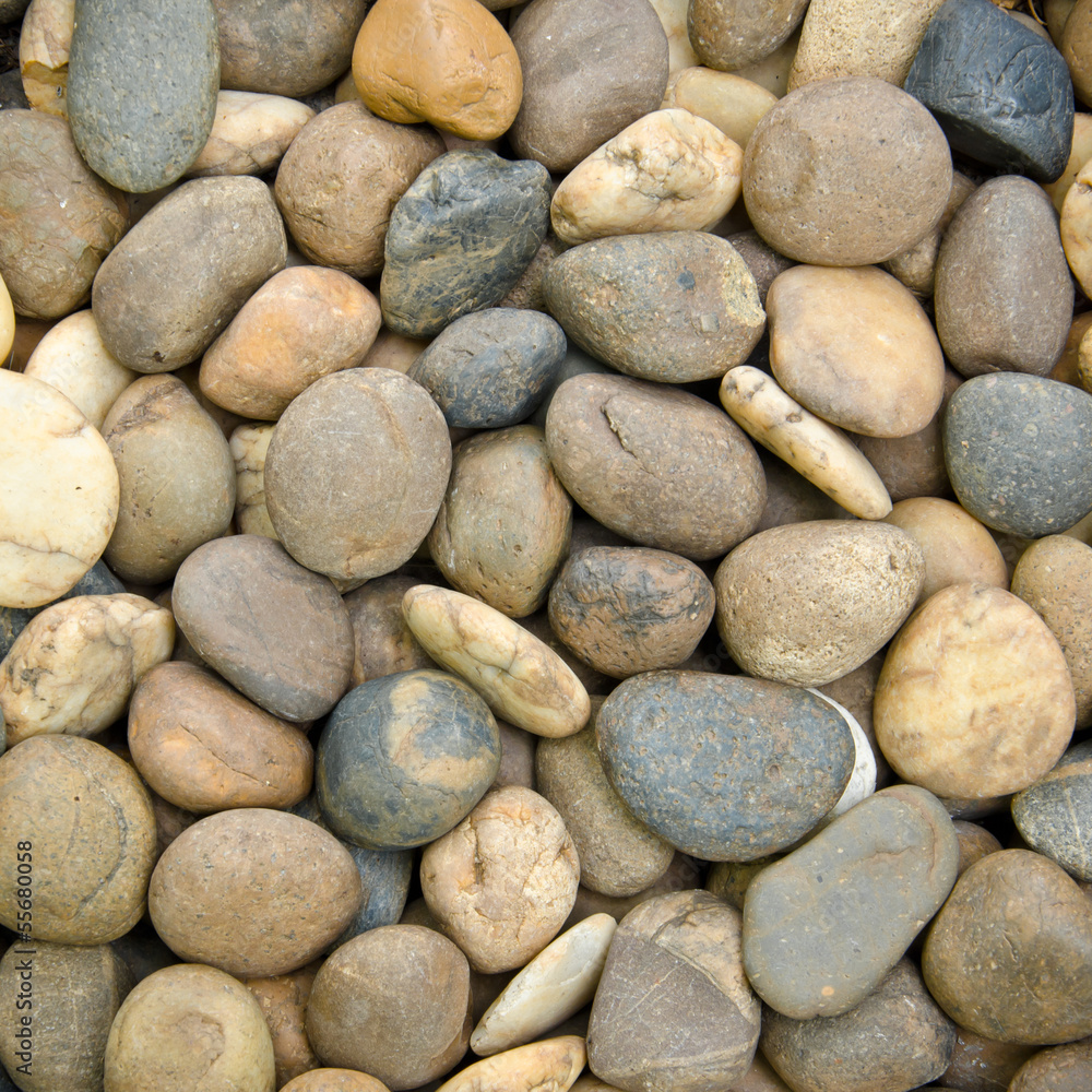 Various Pebble Stones Texture Background Various Pebble Stones Texture Background