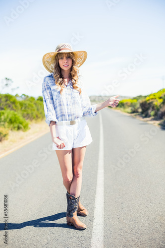 Pretty blonde hitchhiking on the road © lightwavemedia