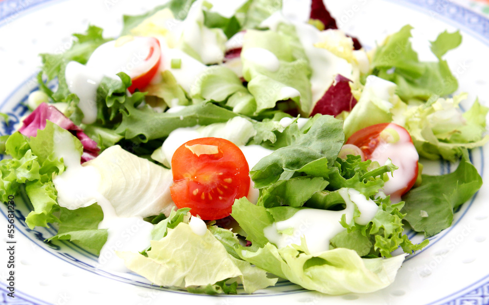 frischer Salat frischer Salat