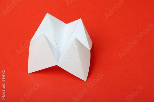 Paper Origami Fortune Teller photo