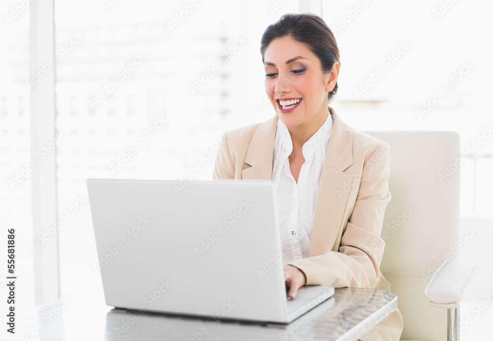 Smiling businesswoman working on a laptop Smiling businesswoman working on a laptop