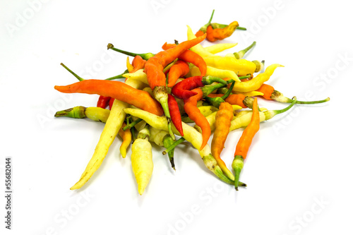 Fresh pepper,Agriculture