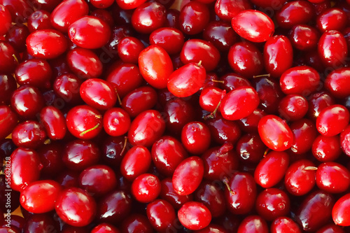 Cornelian cherries - European cornel fruits