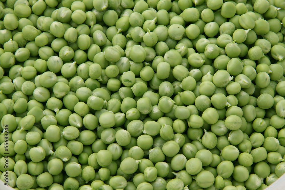 petits pois petits pois