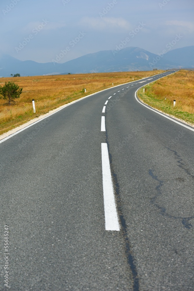 road through the green field