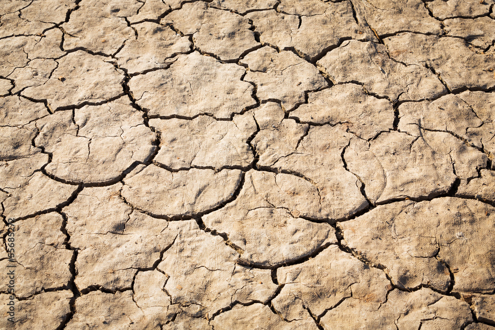 Cracked soil texture Cracked soil texture
