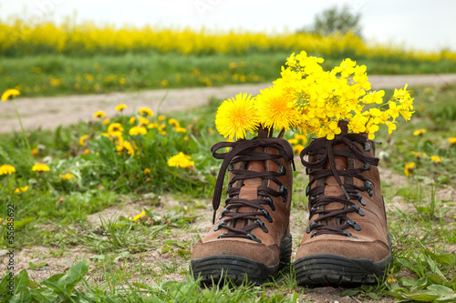 Hiking boots with flowers in nature photo