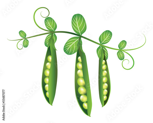 Pea Pods