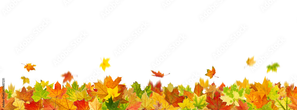 Seamless pattern of maple autumn leaves, lying on the ground. Seamless pattern of maple autumn leaves, lying on the ground.