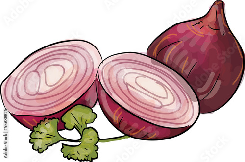 rote zwiebeln