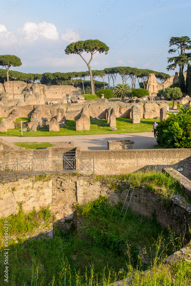 Palatine Hill ruins, Rome, Italy