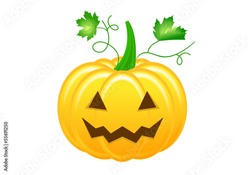 Halloween - citrouille effrayante avec feuilles