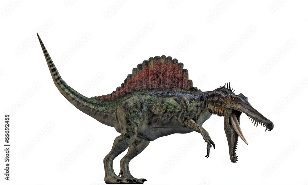spinosaurus spinosaurus