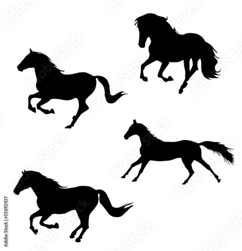 Horses silhouettes