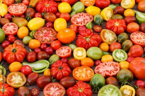Fototapeta Naklejka Na Ścianę i Meble -  colorful tomatoes
