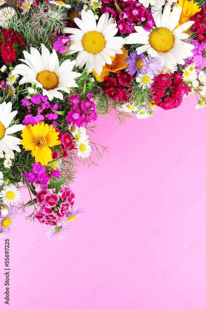 Beautiful bright flowers on pink background Beautiful bright flowers on pink background