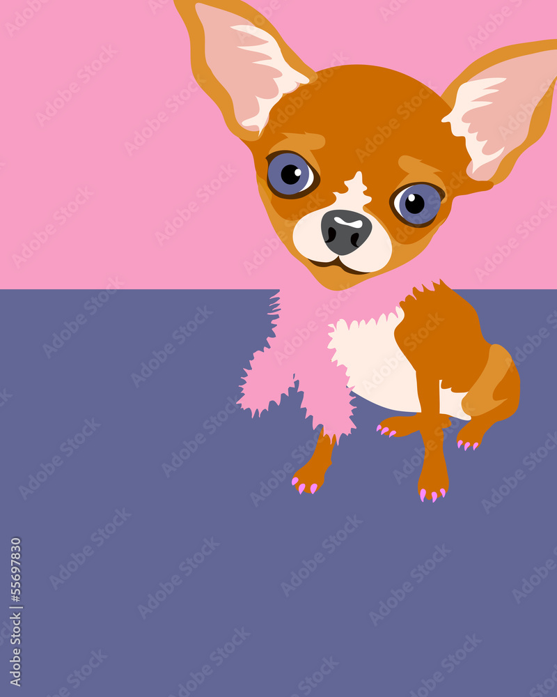 Funny illustration of a chihuahua Funny illustration of a chihuahua