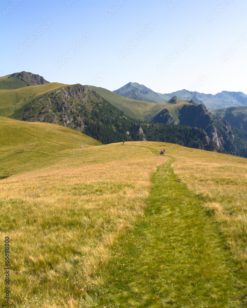 Fototapeta premium Alpine mountaintop