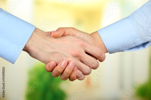 Business handshake on bright background