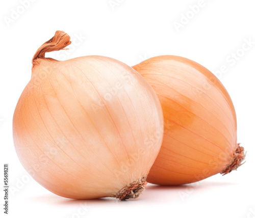 Gold onion vegetable bulbs
