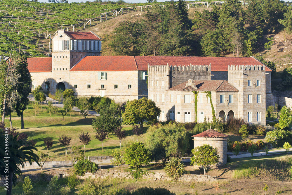 Baion Palace vineyards