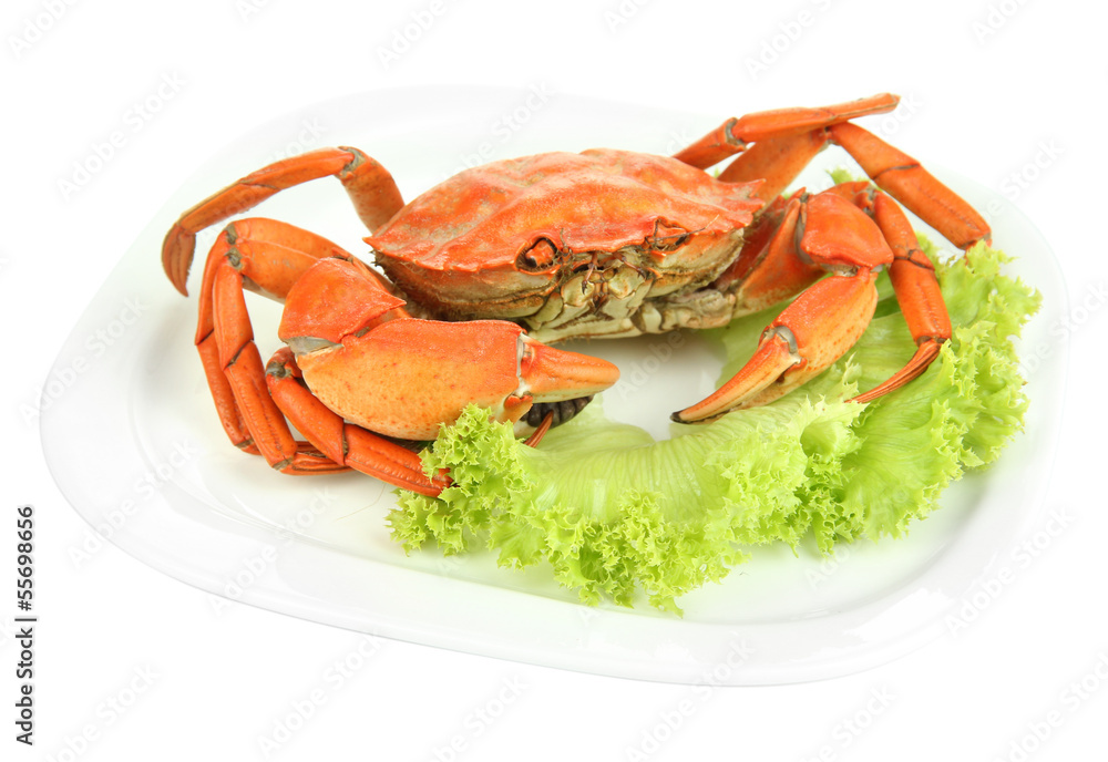 Boiled crab on white plate, isolated on white Boiled crab on white plate, isolated on white