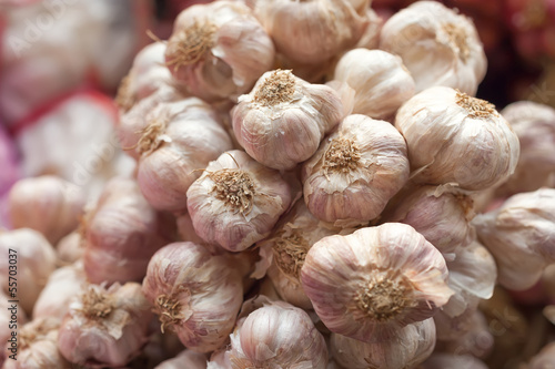 Bunch of garlic in the market