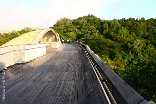 Photography Henderson Wave Bridge,Southern Ridges Singapore,  Rain forest
