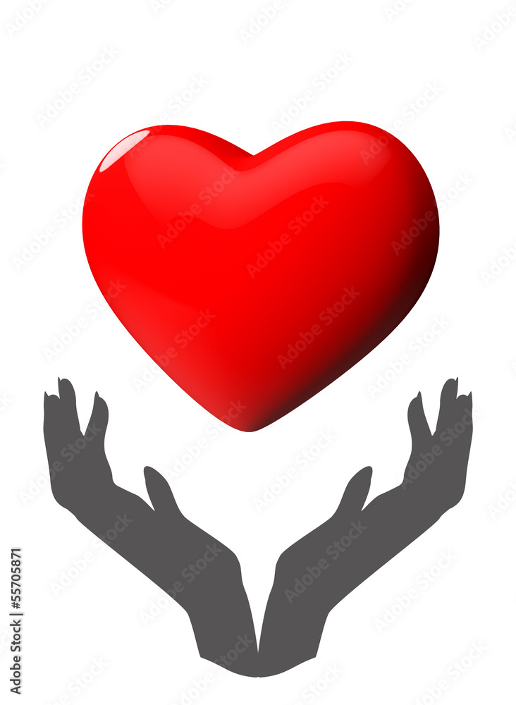 Organ donation Organ donation