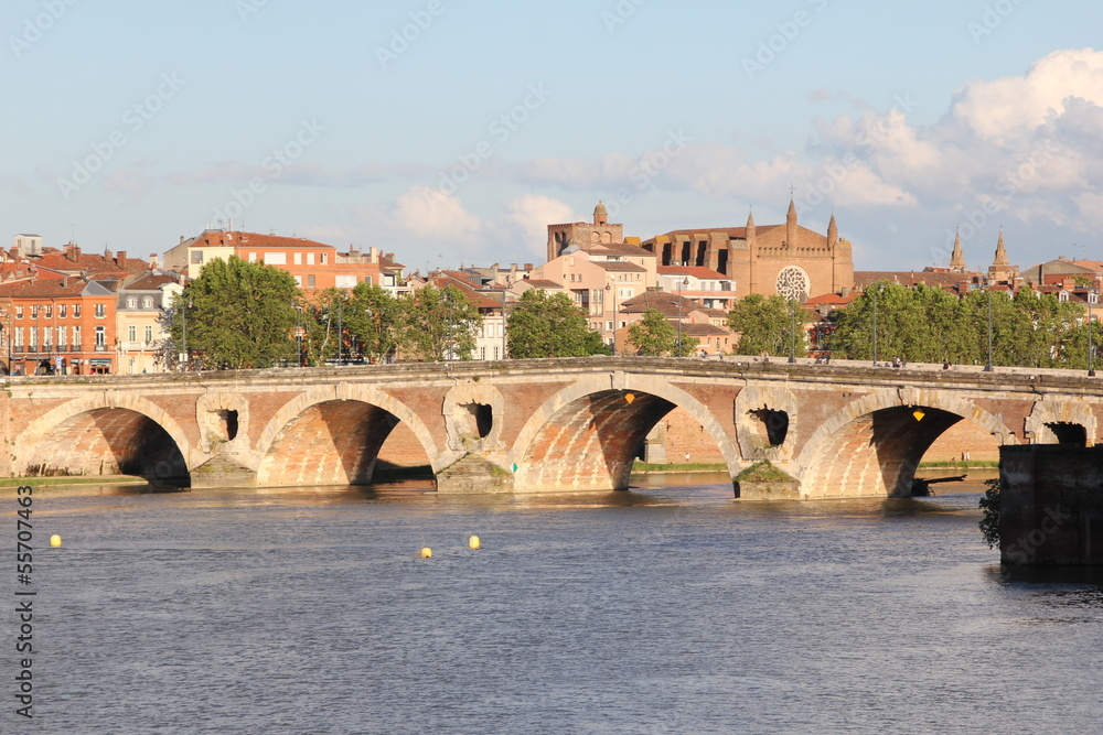 Obraz premium Pont Neuf, Toulouse