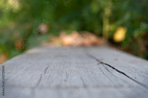 summer background with wooden planks