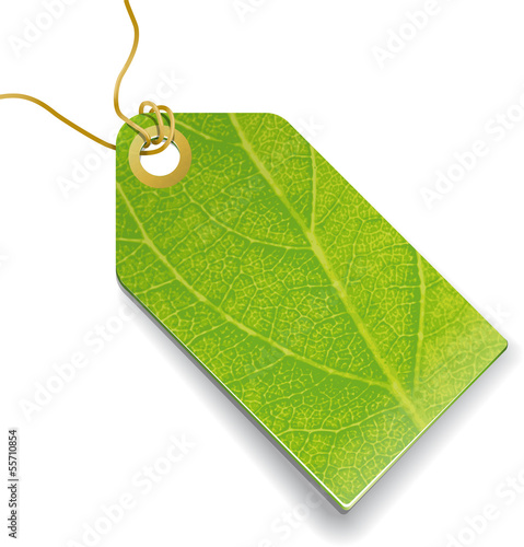 Grüner Preisanhänger mit Pflanzenstruktur - full vector