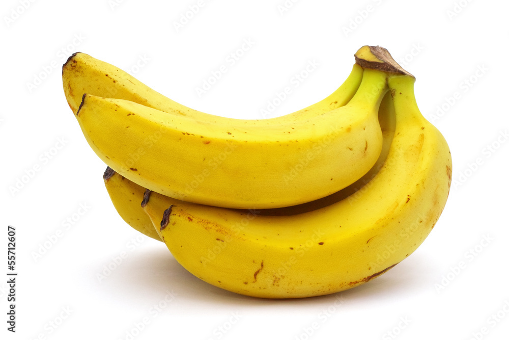 ジャイアンキャベンディシュ バナナの木 専用枠