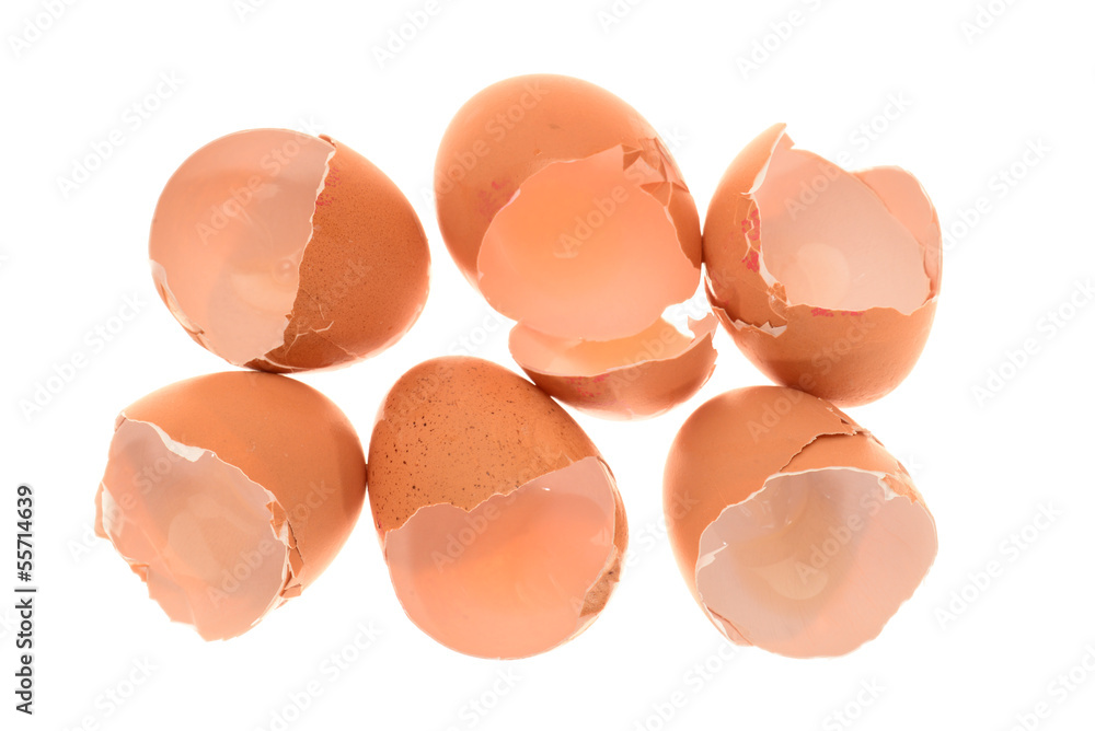 Chicken Egg Shells Isolated On White Background Chicken Egg Shells Isolated On White Background