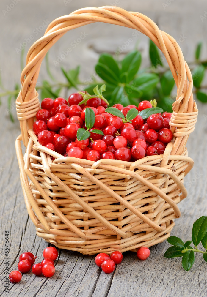 Cowberries in the basket Cowberries in the basket